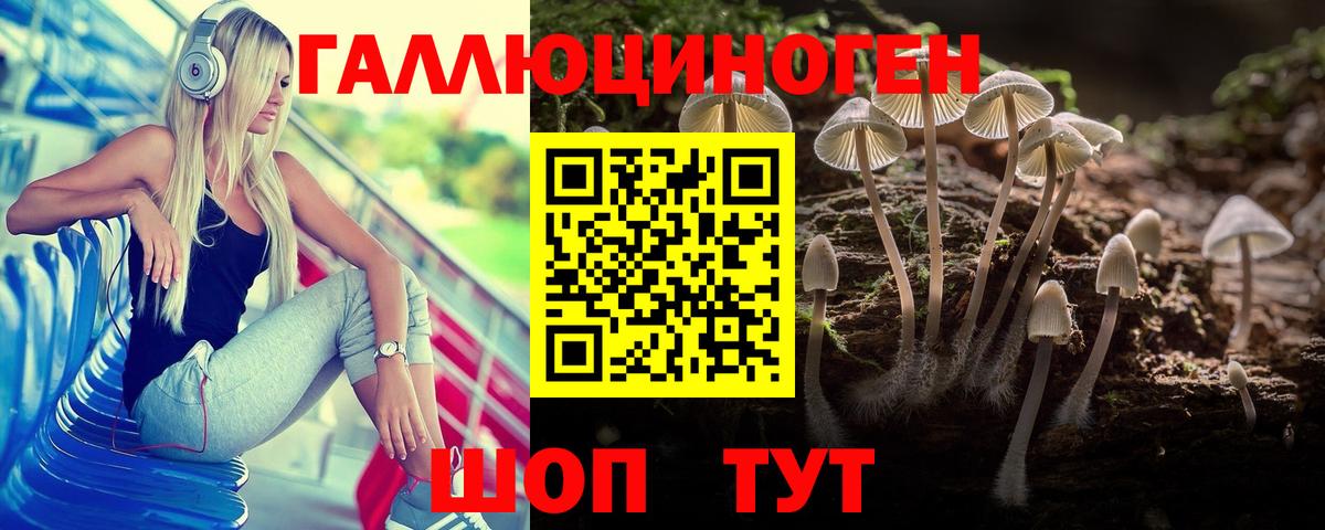 Псилоцибиновые грибы прущие грибы  Вход с VPN  Людиново  Псилоцибиновые грибы MAGIC MUSHROOMS 