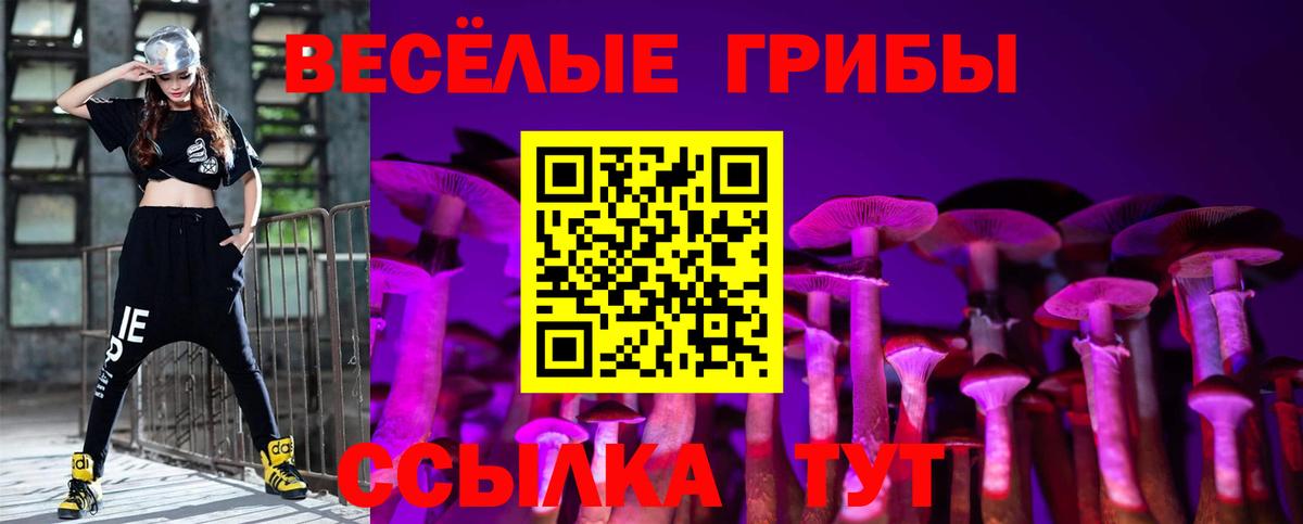 Галлюциногенные грибы Psilocybine cubensis Людиново